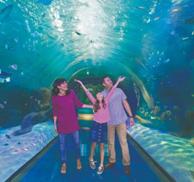 Aquarium at the Boardwalk