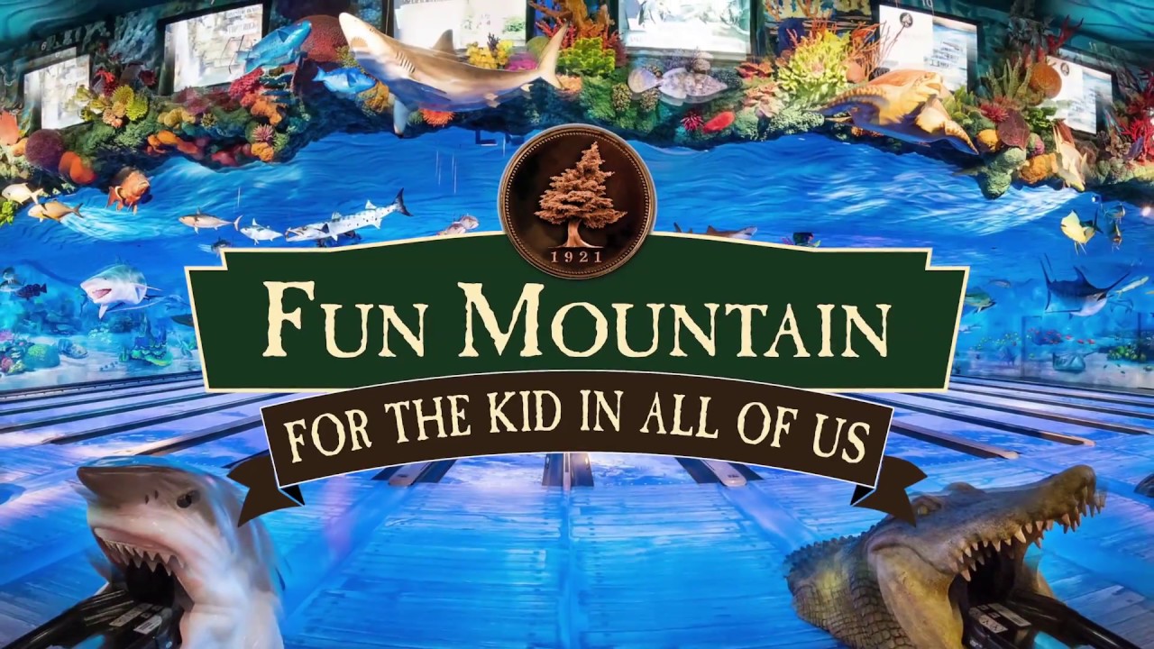 Fun Mountain