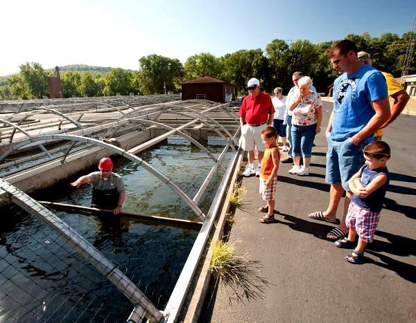 Shepherd of the Hills Fish Hatchery