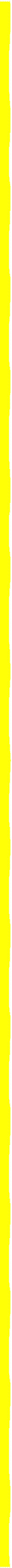 yellow boarder