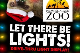 Branson's Let There Be Lights | Promised Land Zoo