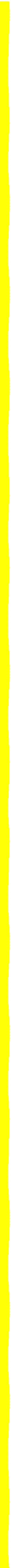 yellow boarder