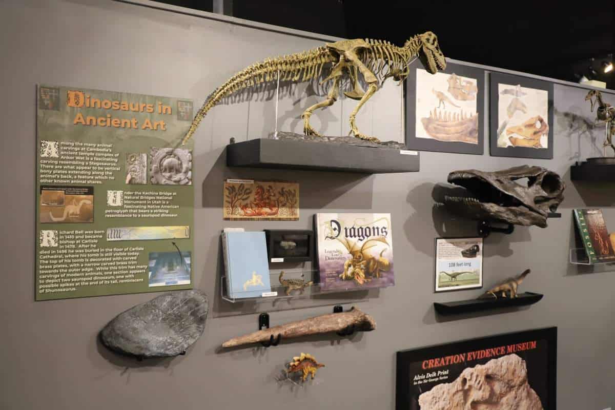 Museum exhibit featuring dinosaur fossils, bones, and educational displays, showcasing hands-on learning and free attractions in Branson MO for families and curious visitors.