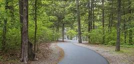 A paved walking trail winding through a quiet Ozarks forest with mature trees and dappled sunlight.