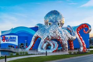 Branson Aquarium at the Boardwalk