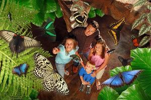 The Butterfly Palace & Rainforest Adventure