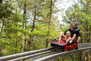 Copperhead Mountain Coaster