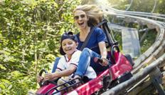 Family enjoying a thrilling alpine coaster ride near Branson attractions